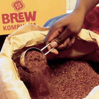 Rooted in Rooibos: A Story of Heritage & Belonging